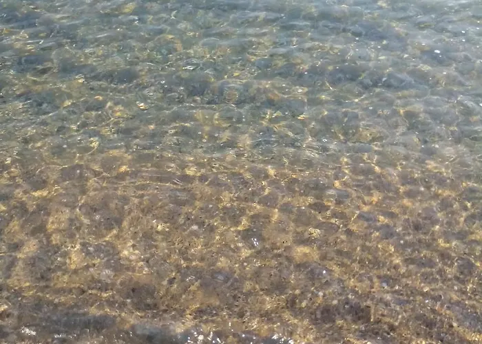 Paradise 로제넷츠